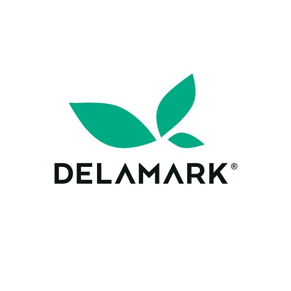 Delamark Sales Manager, ИИ-специалист по продажам в Binom AI
